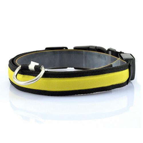 Collar para Perro con Tira de Luz LED para Iluminación