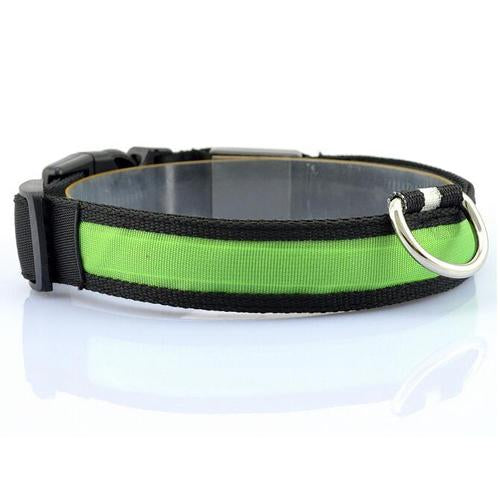 Collar para Perro con Tira de Luz LED para Iluminación