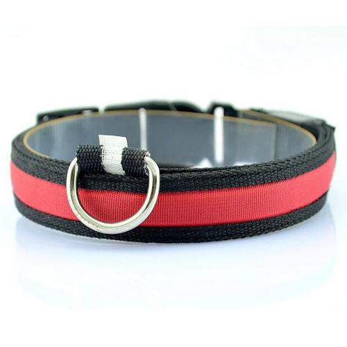 Collar para Perro con Tira de Luz LED para Iluminación