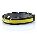 Collar para Perro con Tira de Luz LED para Iluminación