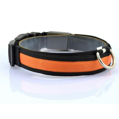 Collar para Perro con Tira de Luz LED para Iluminación