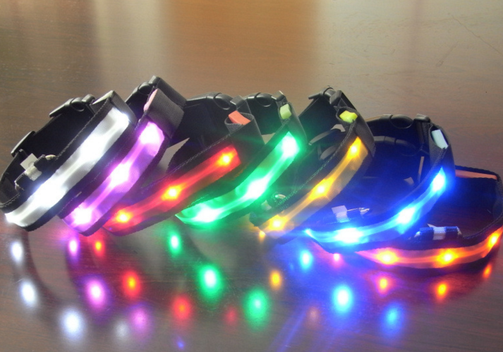 Collar para Perro con Tira de Luz LED para Iluminación