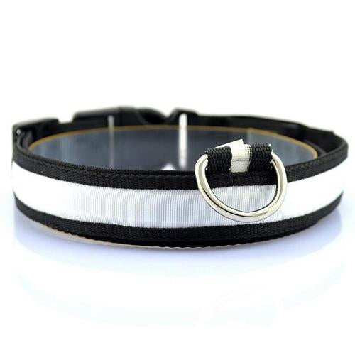 Collar para Perro con Tira de Luz LED para Iluminación