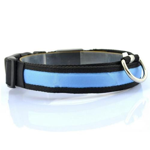 Collar para Perro con Tira de Luz LED para Iluminación