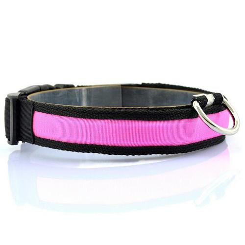 Collar para Perro con Tira de Luz LED para Iluminación